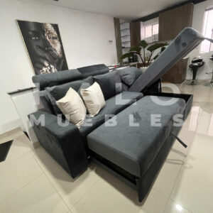 Sala multifunción