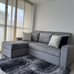 Sala multifuncion